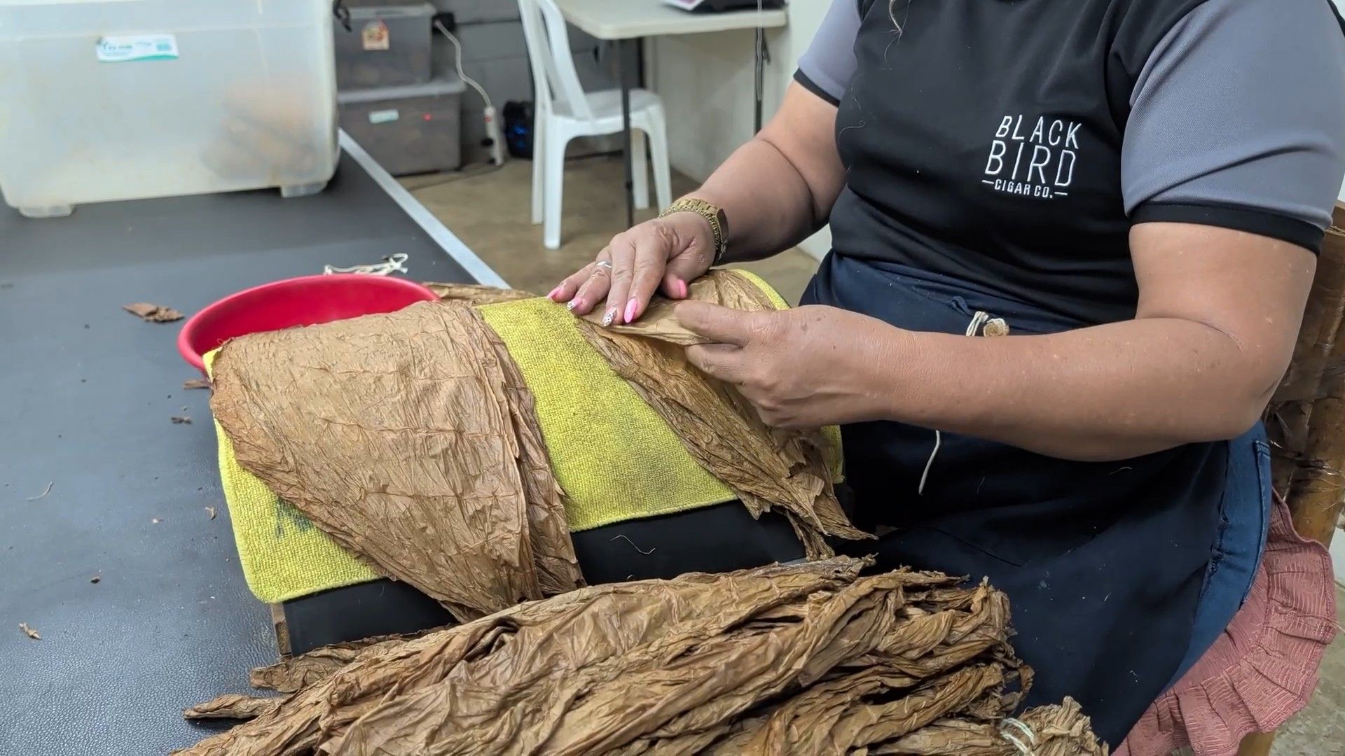 Handcrafted Cigars at Black Bird Factory