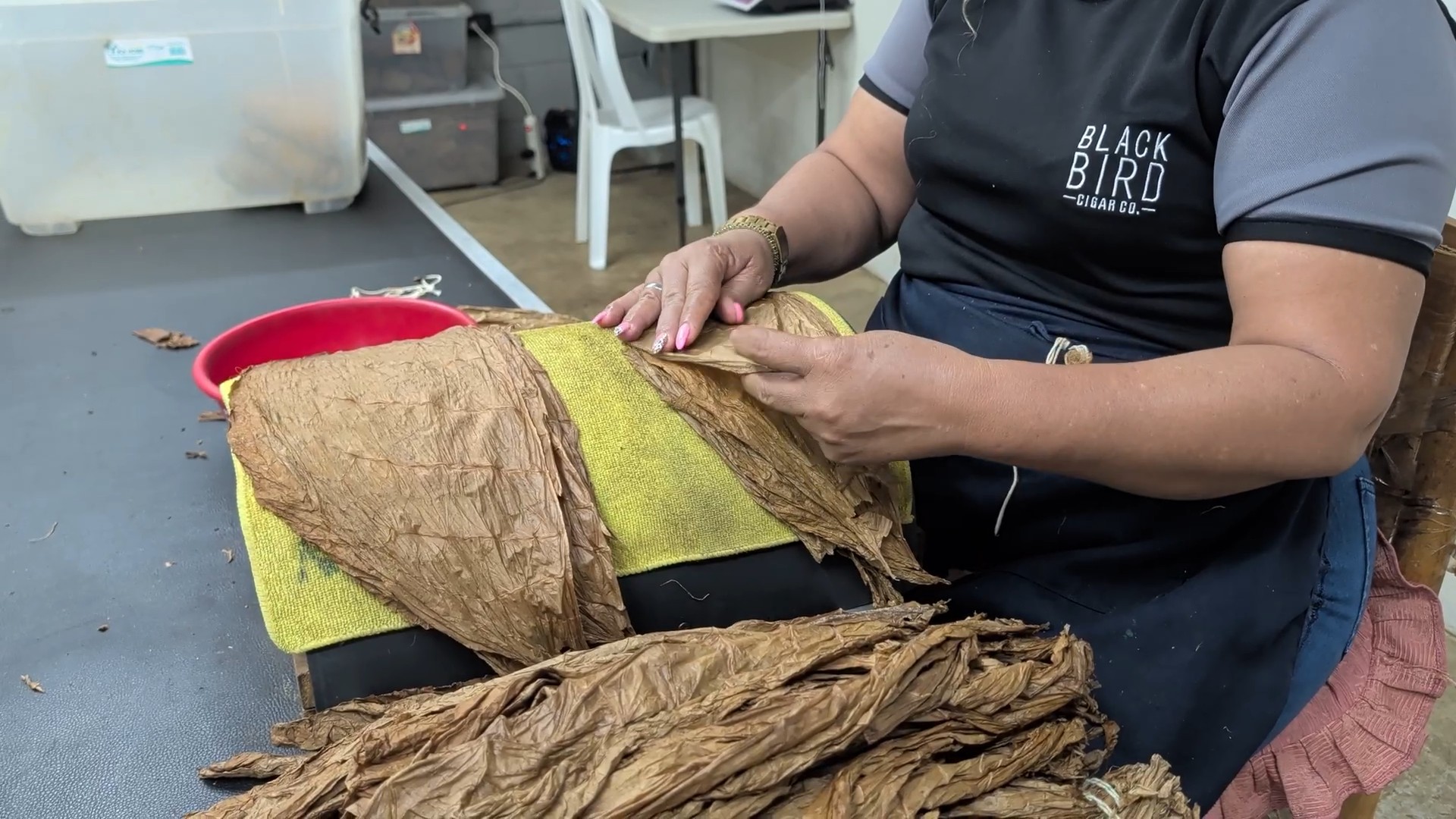 Black bird cigar factory tour wrapper