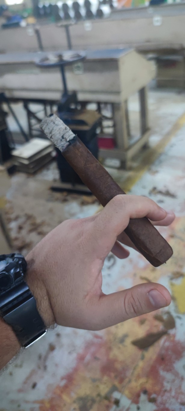 Smoking La Galera brand on La Palma factory.