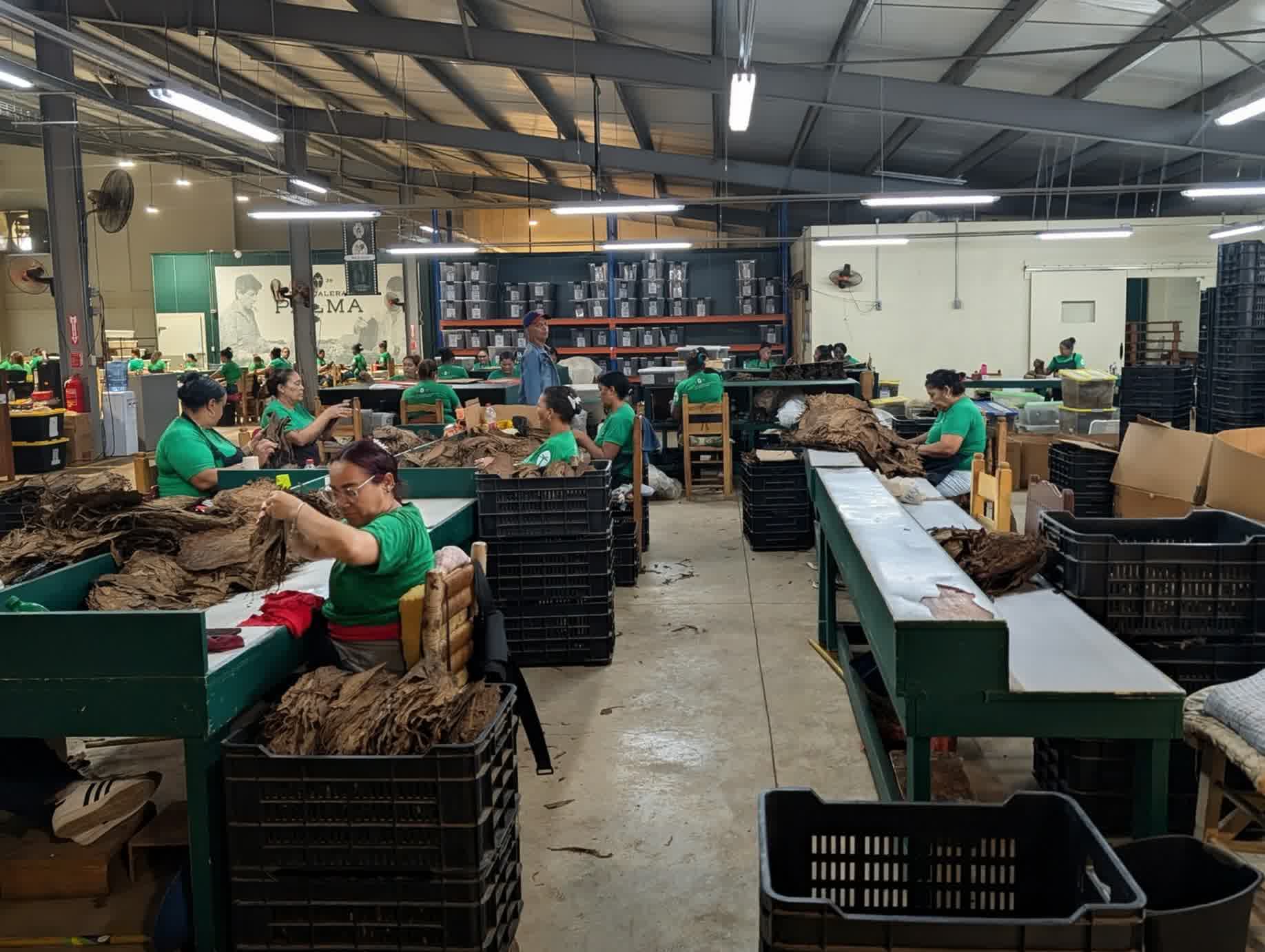 Inside La Palma Cigar Factory