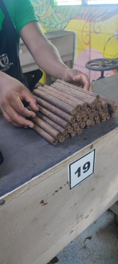 Me encantó ver cómo La Palma produce su propio tabaco en Tamboril