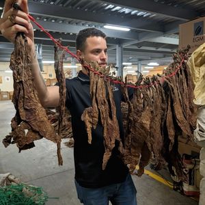 la galera cigar factory