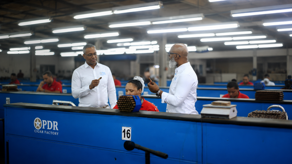 pdr dominica cigar factory
